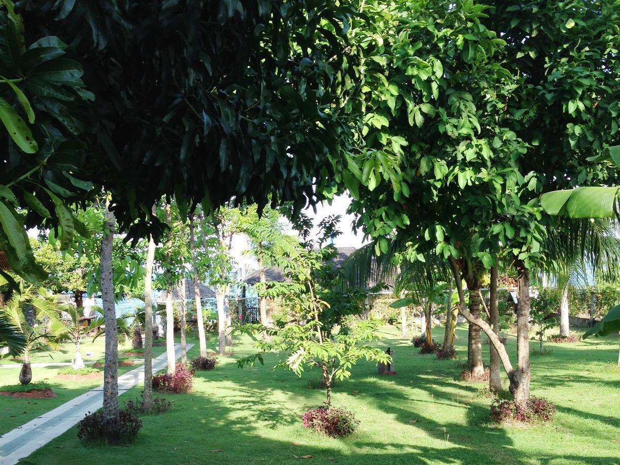 Dumaguete Springs Apartment Dumaguete City Buitenkant foto